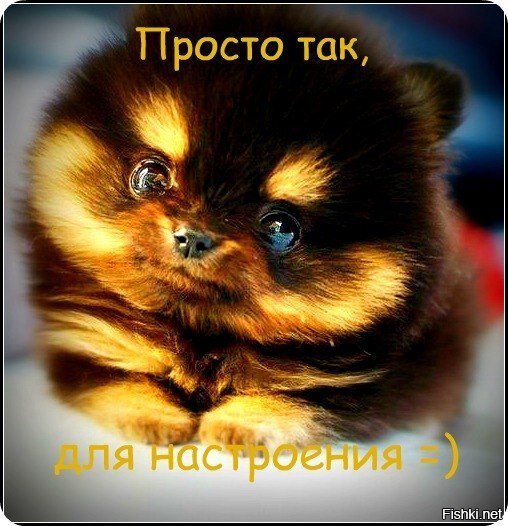 Доброго вечера вторника всем 