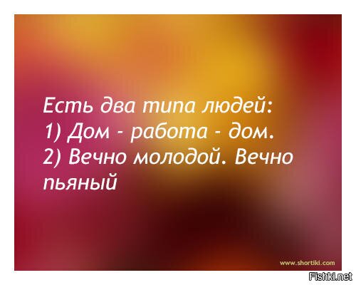 Из солянки
