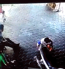 Отцовское чутье