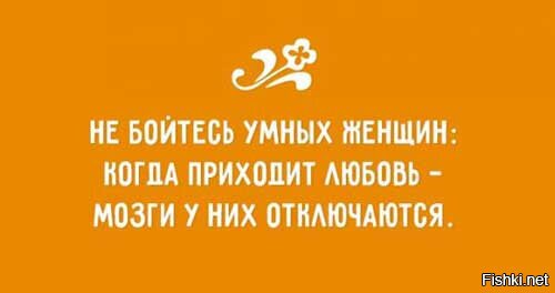Из солянки