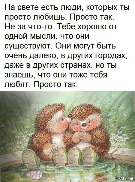 Из солянки