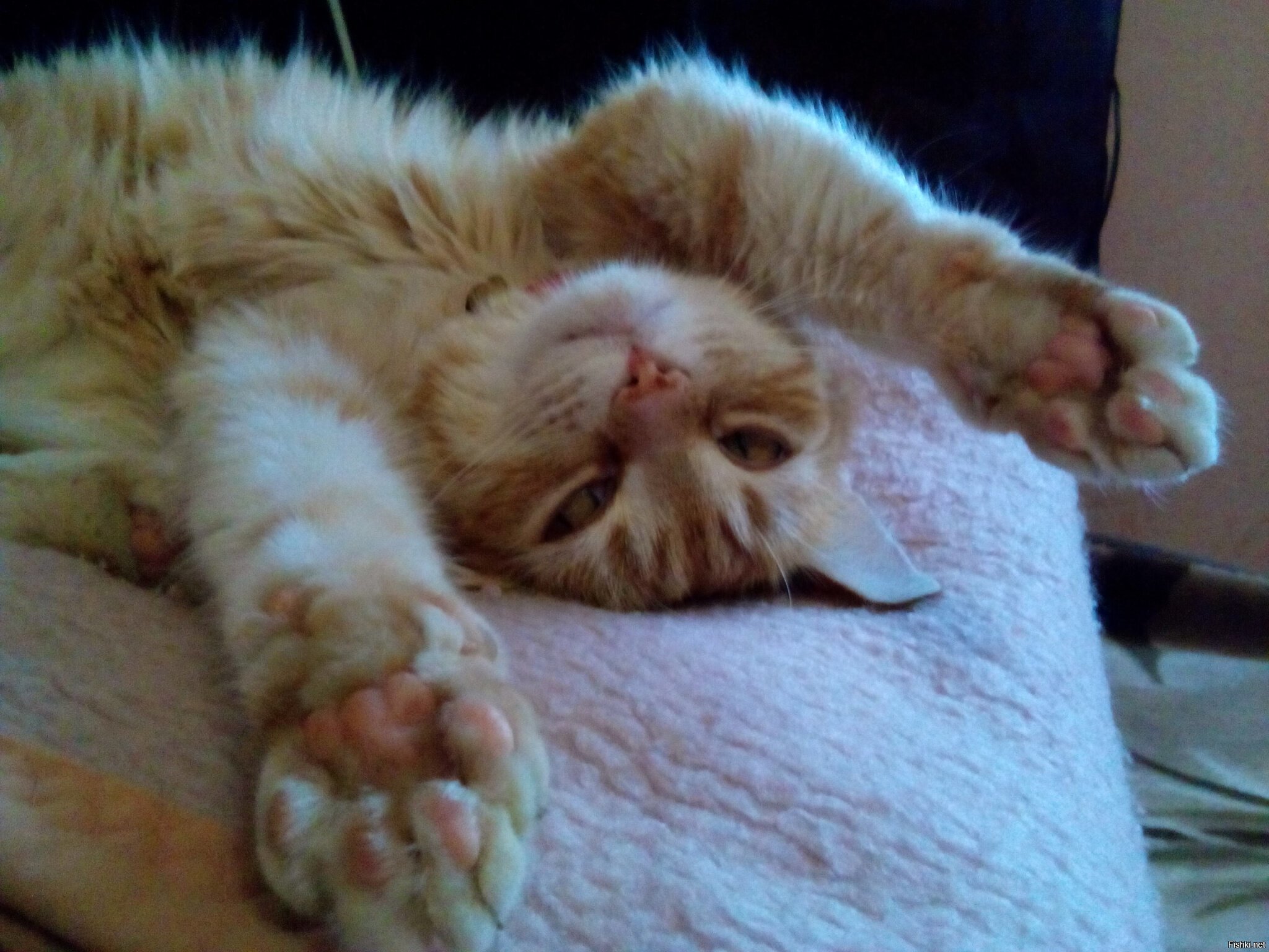 Выходноооой 