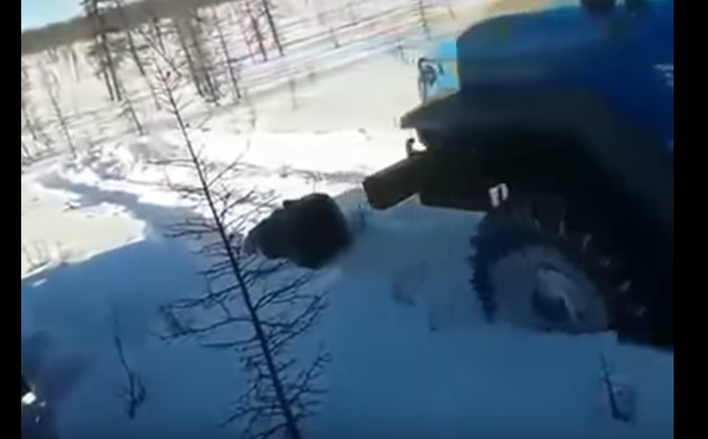 В Якутии вахтовики на "Уралах" намеренно задавили медведя