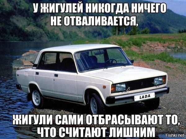 Из солянки