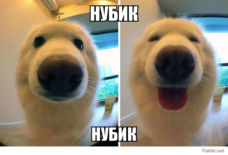 НУБИК