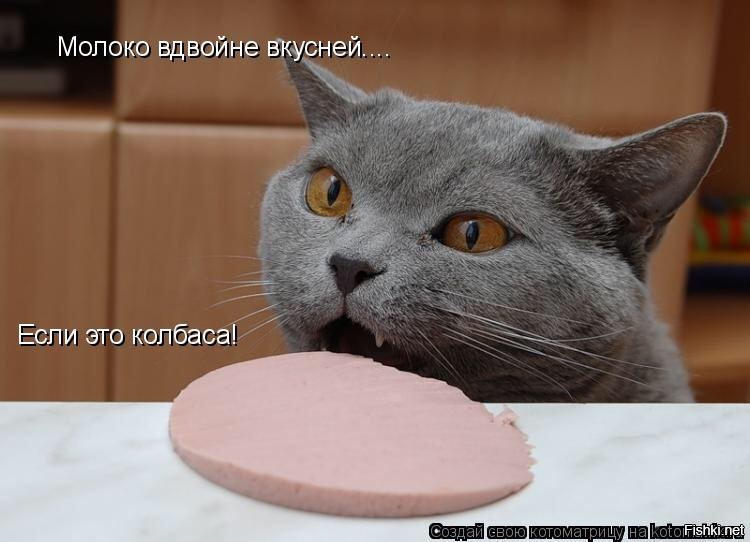 Из солянки