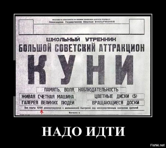 Из солянки