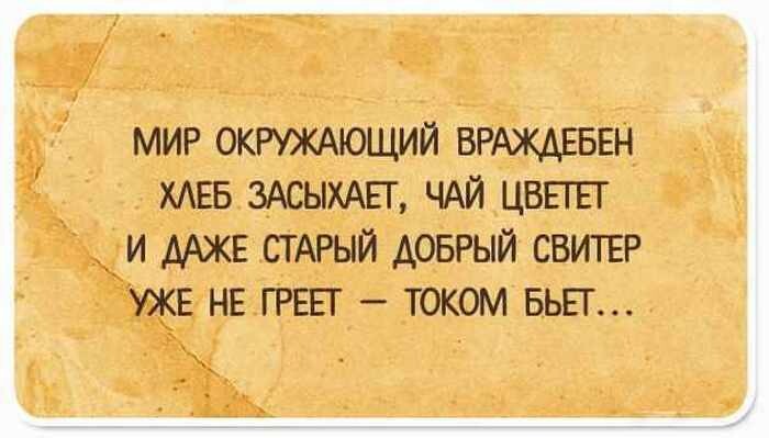 15 забавных открыток для хорошего настроения на весь день