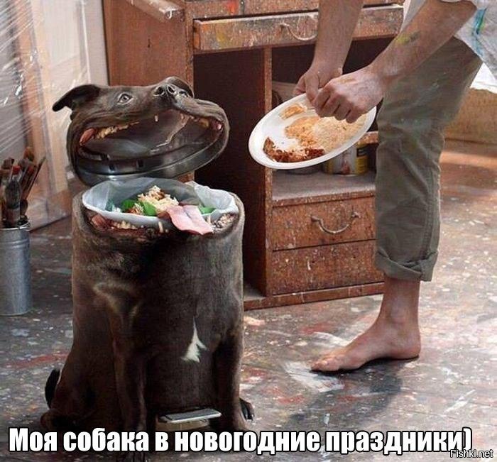 Эх мне бы такую собаку)))))