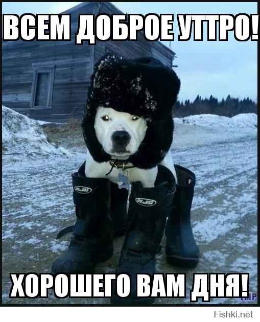 ВСЕМ ДОБРОЕ УТТРО!