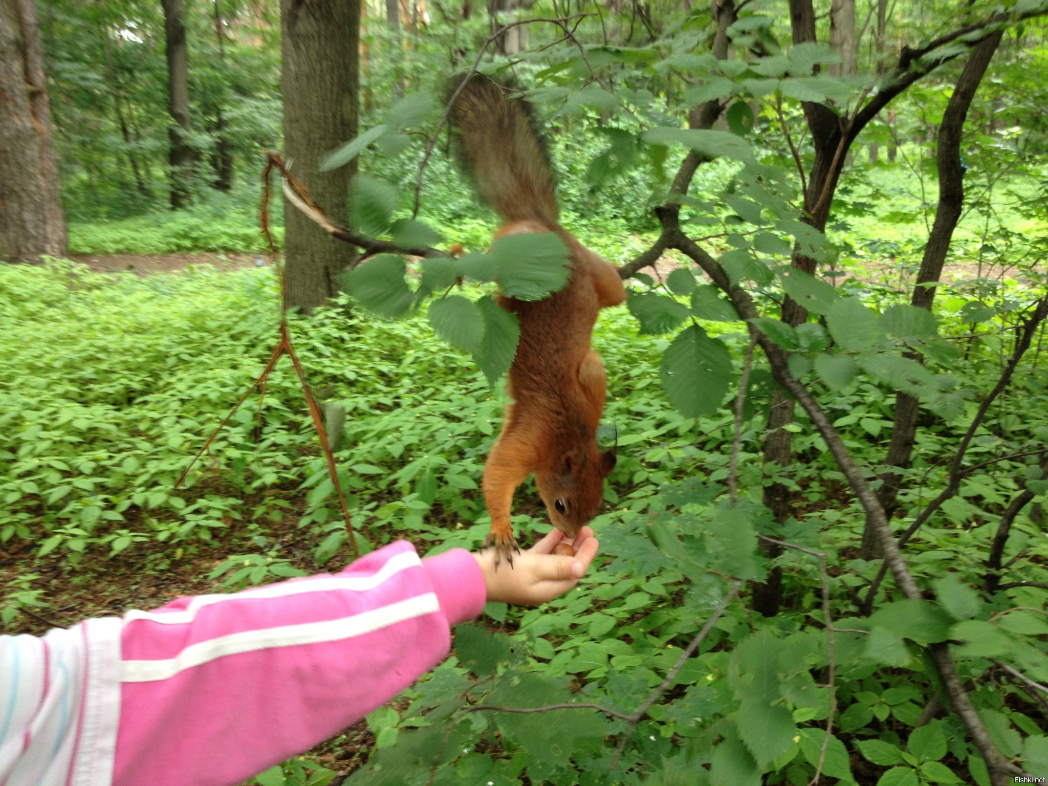 К теме белок