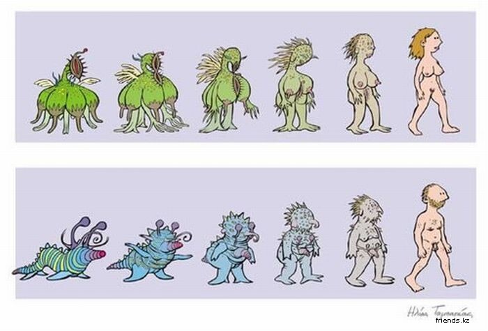 Мифы об эволюции