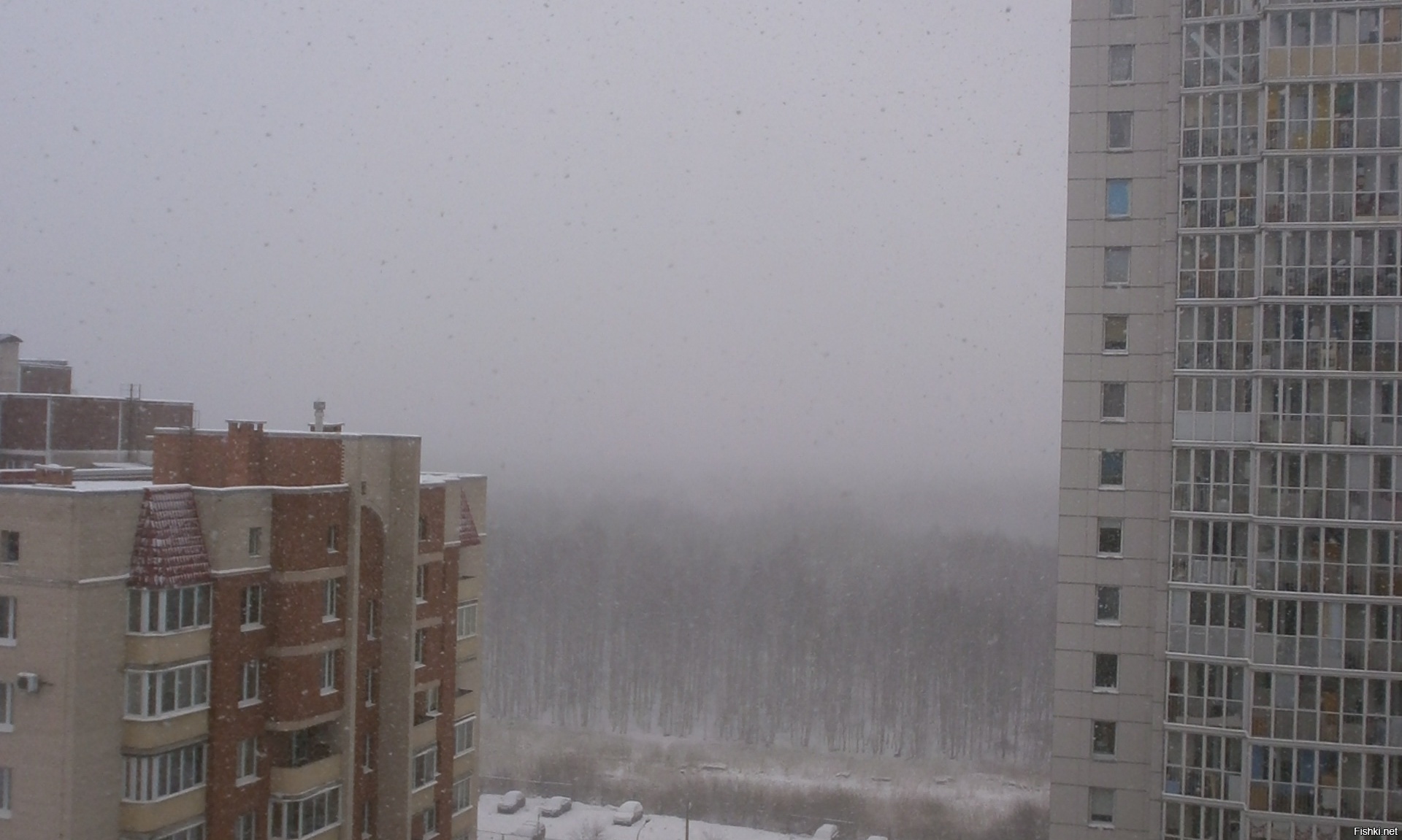 А в Петербурге сейчас снегопад и -2 за бортом