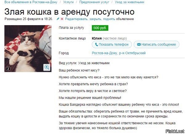 Из солянки