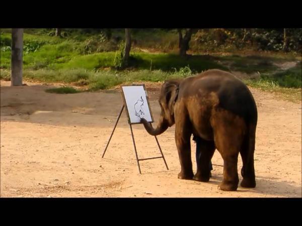 Слоны рисуют! Но как?