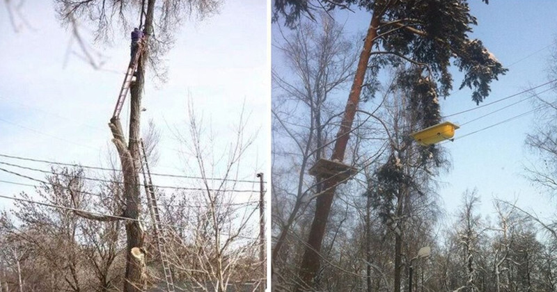 Премию Дарвина можно получить только один раз 