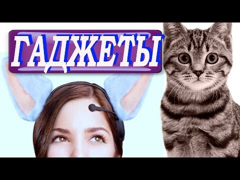 ТОП 12 ТОВАРОВ ДЛЯ КОШЕК НА АЛИЭКСПРЕСС