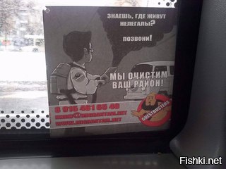 Из солянки