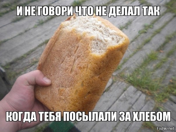 Из солянки