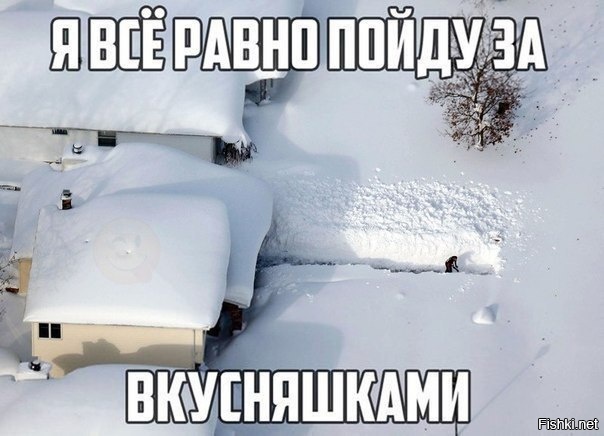 Из солянки