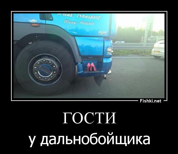 Из солянки