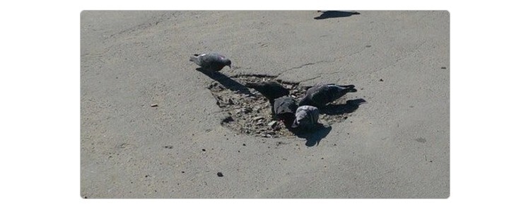 Хитрый способ реставрации памятников