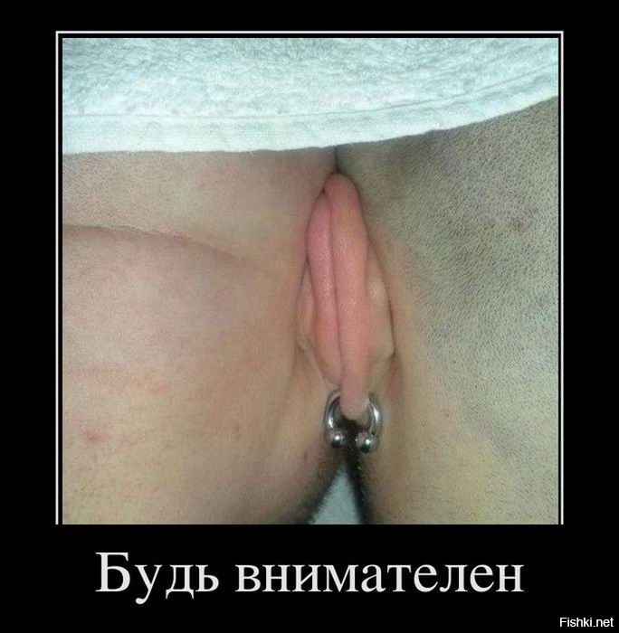 Из солянки