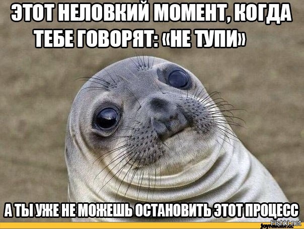 Из солянки