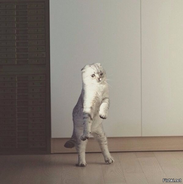 А теперь - румба