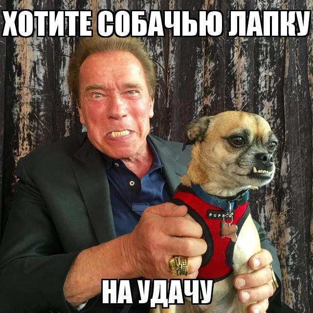 Из солянки