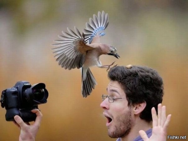 подловил таки 