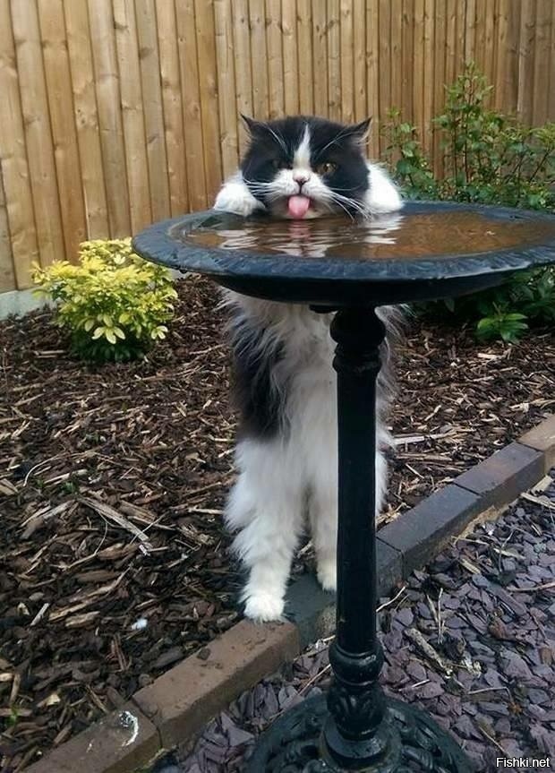 Утро понедельника