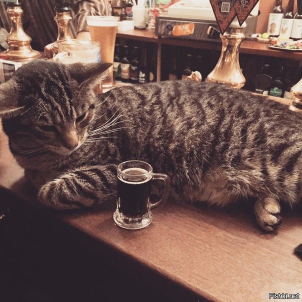 Маловато будет