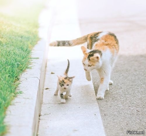 Мамина доча ходить учится