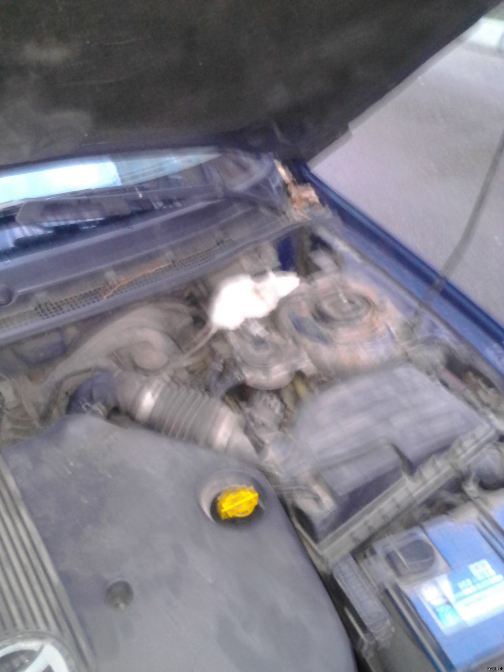 доброго утра всем, вот тут бывает проскакивают посты про котиков под капотом ...