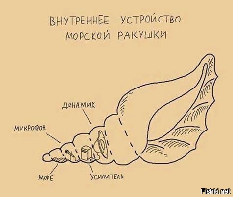 так вот оно чё