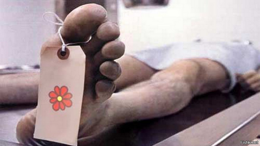 Статус: &quot;Недоступен&quot;