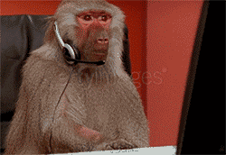 В интернете опять кто-то не прав