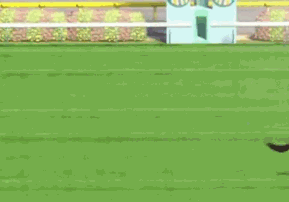 Это что за хрень такая