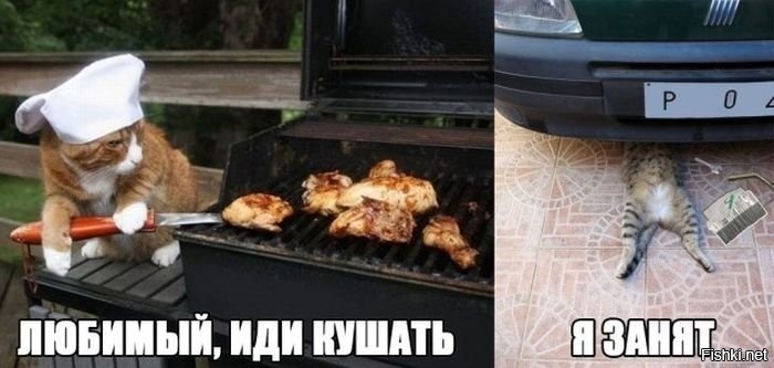 Из солянки