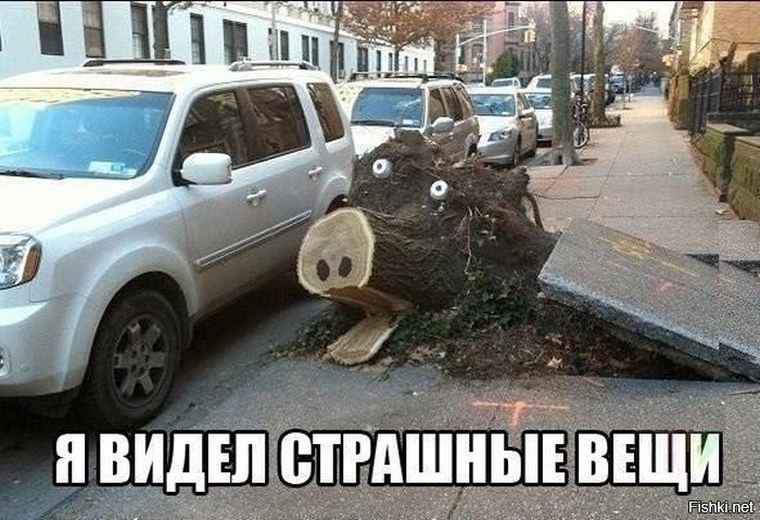 Из солянки