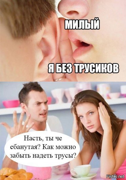 Из солянки