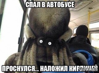 Из солянки