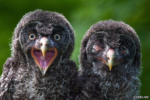 После гулянки