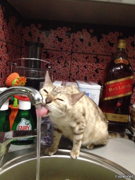 Утро начинается не с кофе