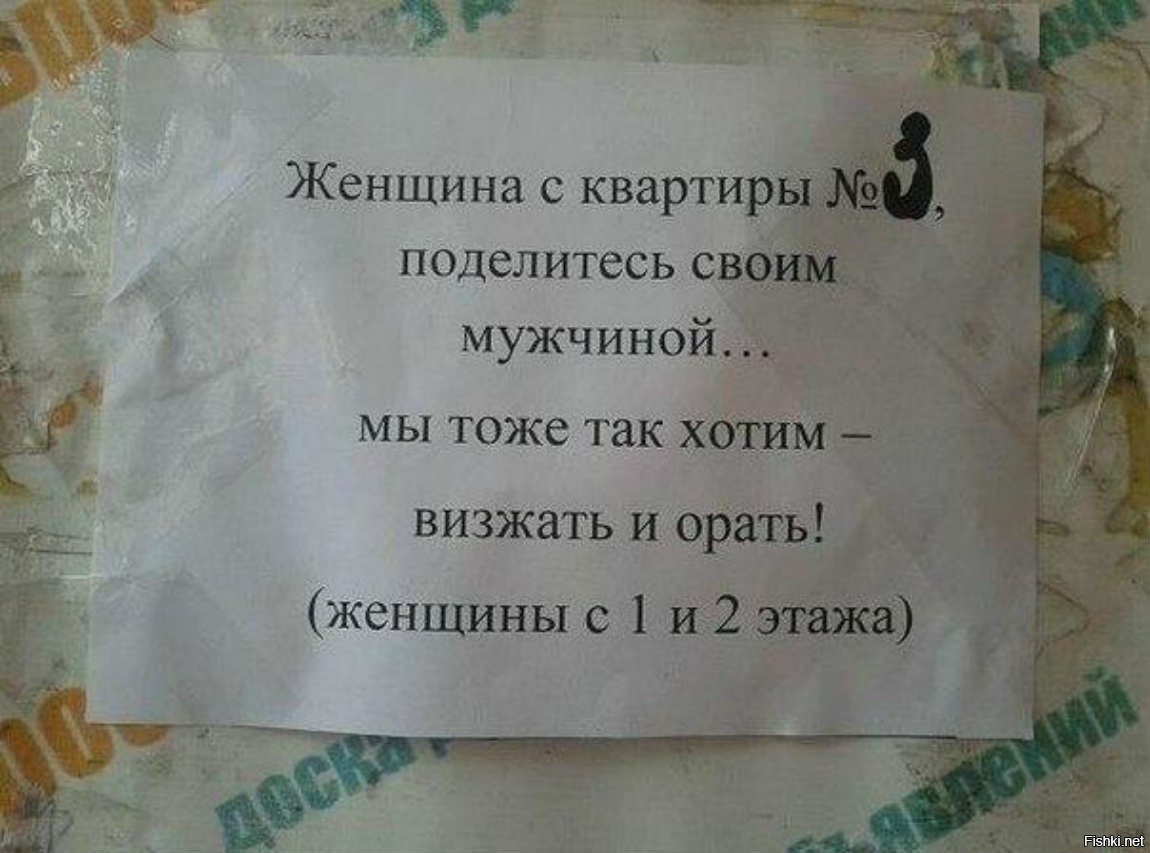 Из солянки