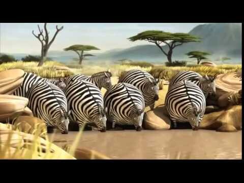 смешной мульт  про  животных