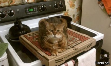 Этот точно не отдаст