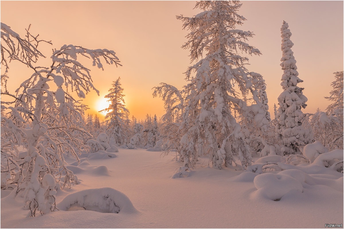 за окном дождь и слякоть - а где то еще красавица Зима