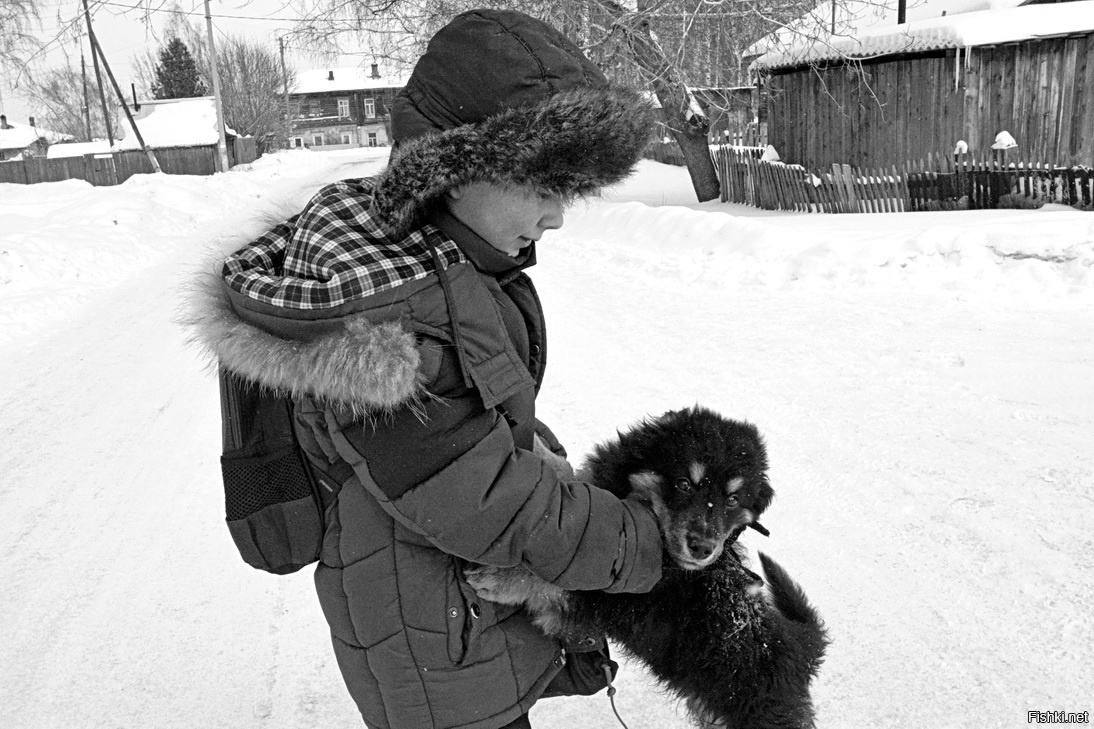 Верные друзья